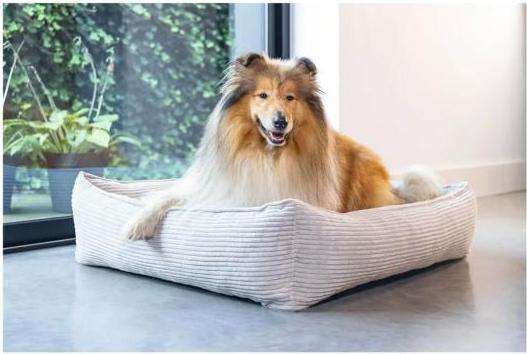 Produktbild Designed by Lotte Liegebett Ribbed (Hund)