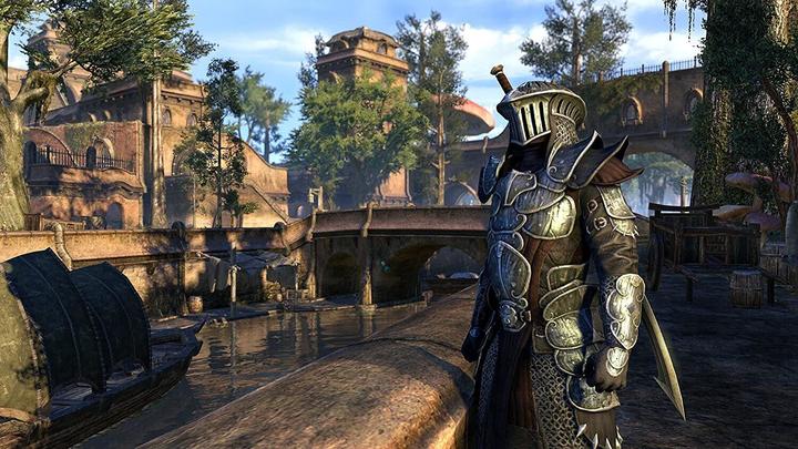 Actual product image Bethesda Elder Scrolls Online (incl. Morrowind) (PS4)