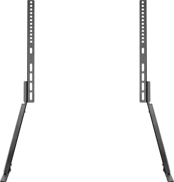 Image du produit myWall HP 39 L (65", 40 kg)