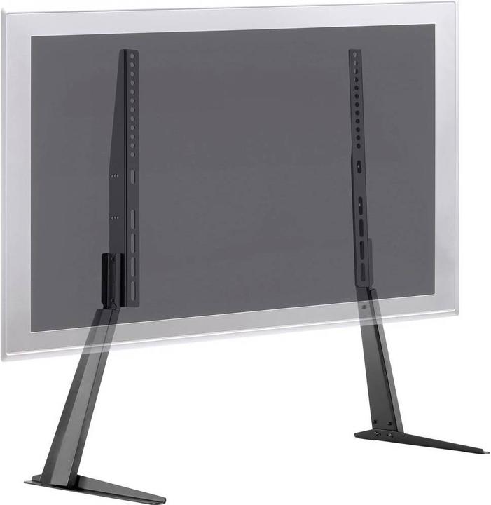 Image du produit myWall HP 39 L (65", 40 kg)