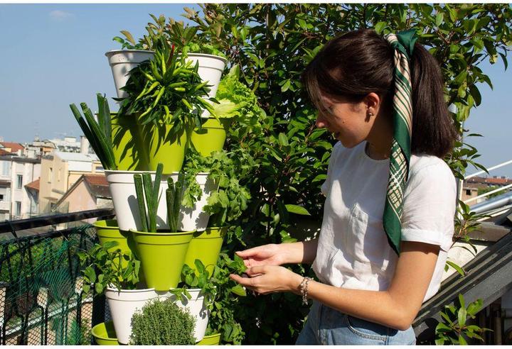 Actual product image Hexagro Poty Kit L Smart Gardening