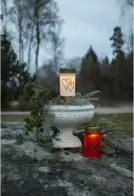 Image du produit Star Trading Bougie solaire Hearty (1 x)
