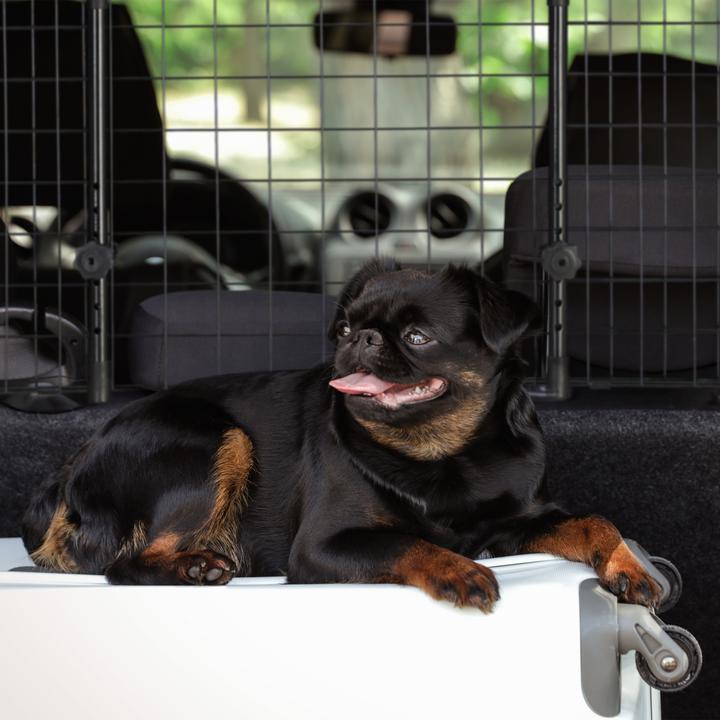 Immagine prodotto Relaxdays Cane recinto auto (Cane, Chiusura di sicurezza)
