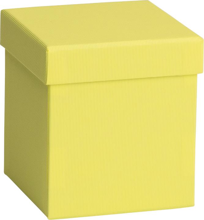 Immagine prodotto Stewo Scatola regalo monocolore (Borsa da regalo, 1 x)