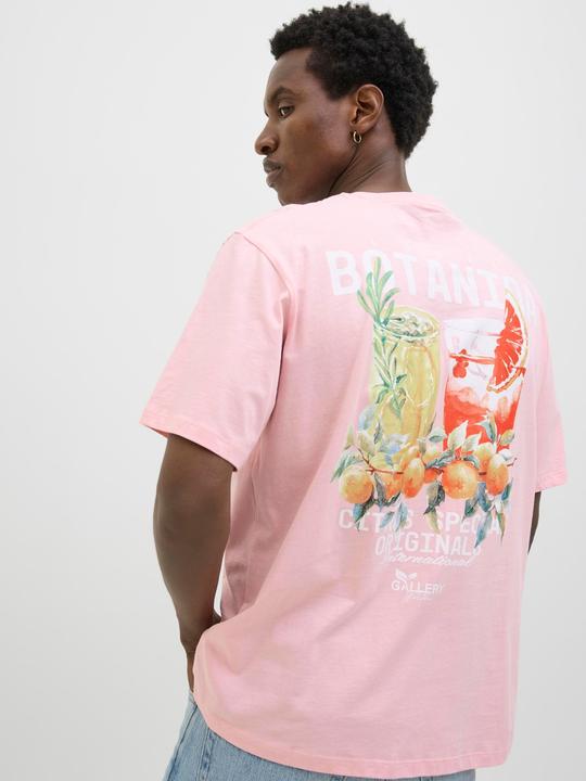 Actual product image Jack & Jones Jorbotaniq Tee Ss Crew Neck Tg Ln (M)