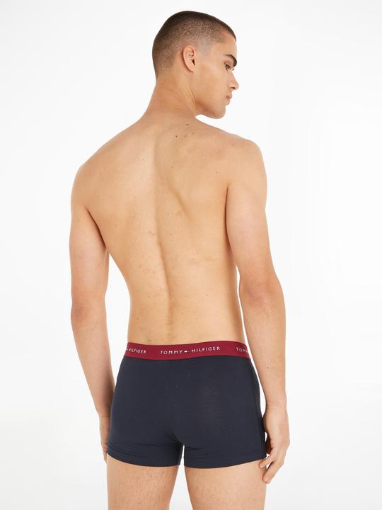 Productafbeelding Tommy Hilfiger WB Kofferbak (S, Set van 3)