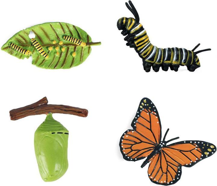 Image du produit Lebenszyklus-Schmetterling-Spielzeugfiguren-Set