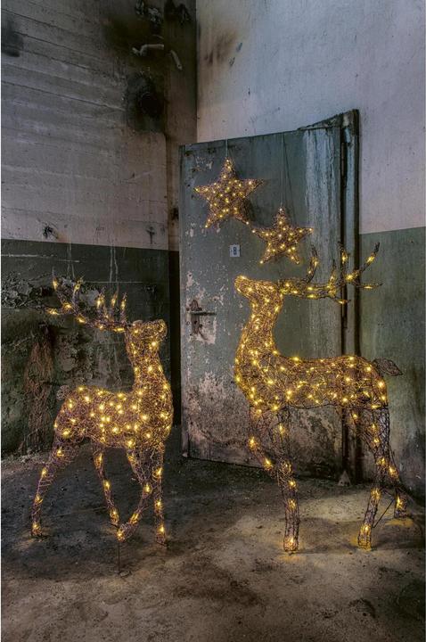Produktbild STT Finn Reindeer