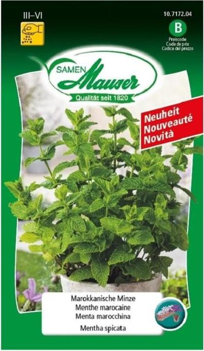 Immagine prodotto Samen Mauser Menta marocchina (Semi di piante)
