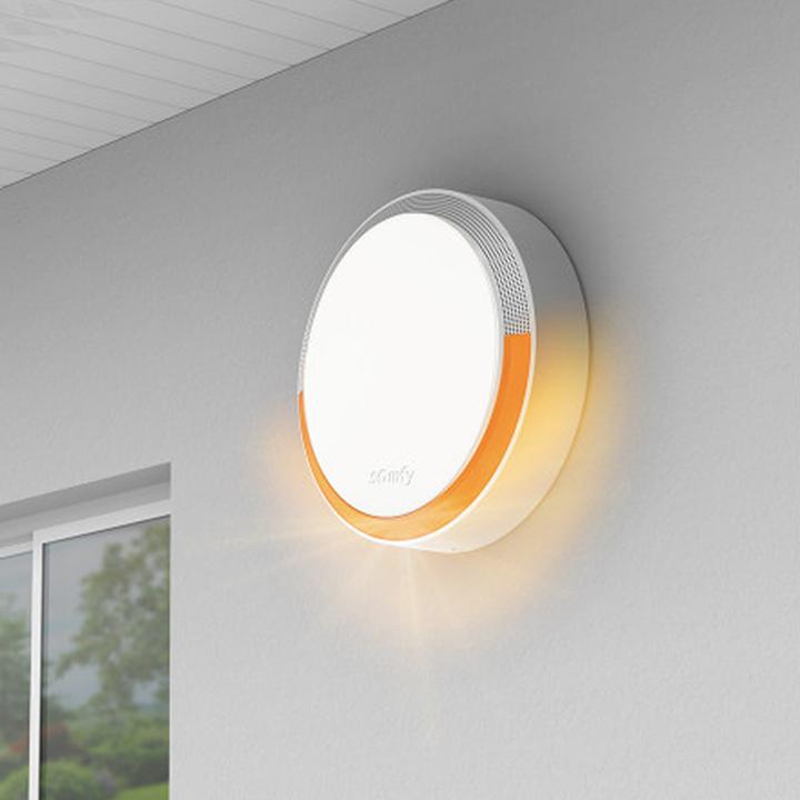 Actual product image somfy Radio outdoor siren Home Alarm 2