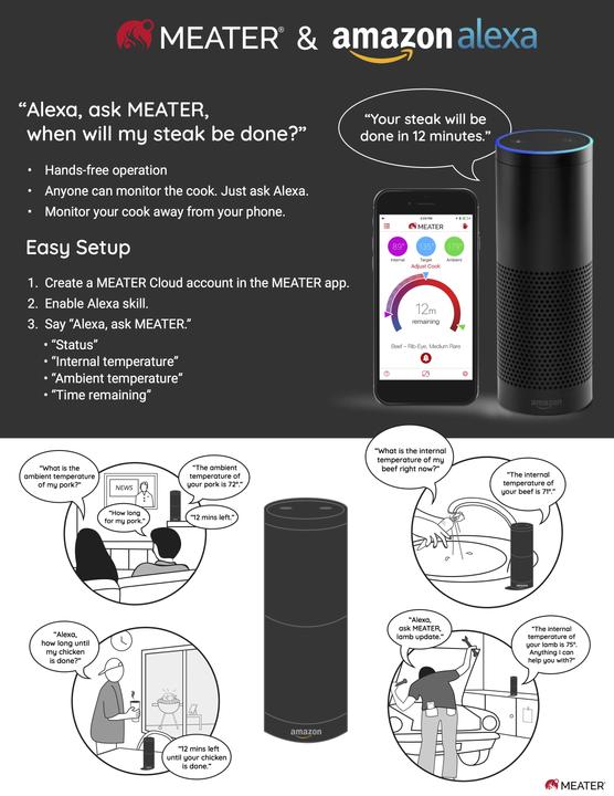Actual product image Meater Smart meat thermometer Plus