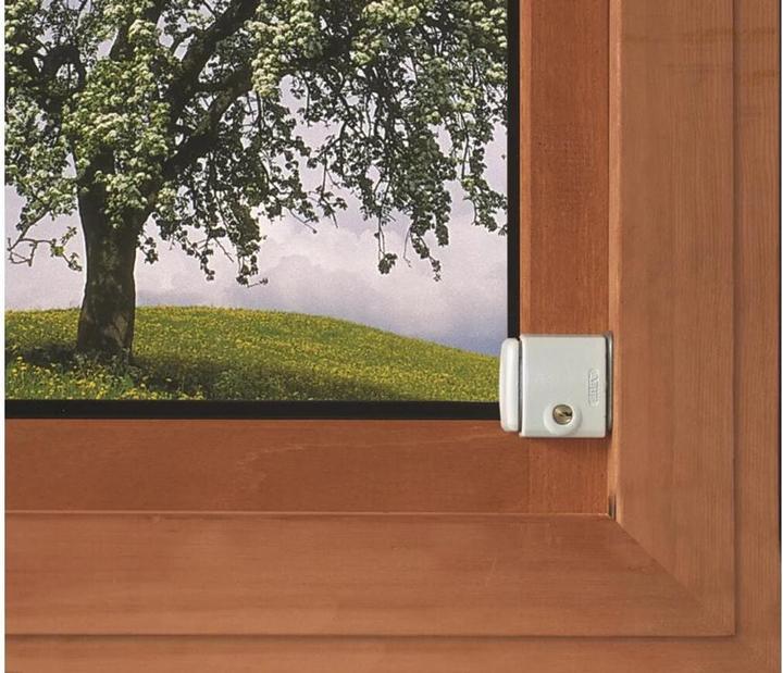 Immagine prodotto Abus FTS3002 W CL/DFNLI
