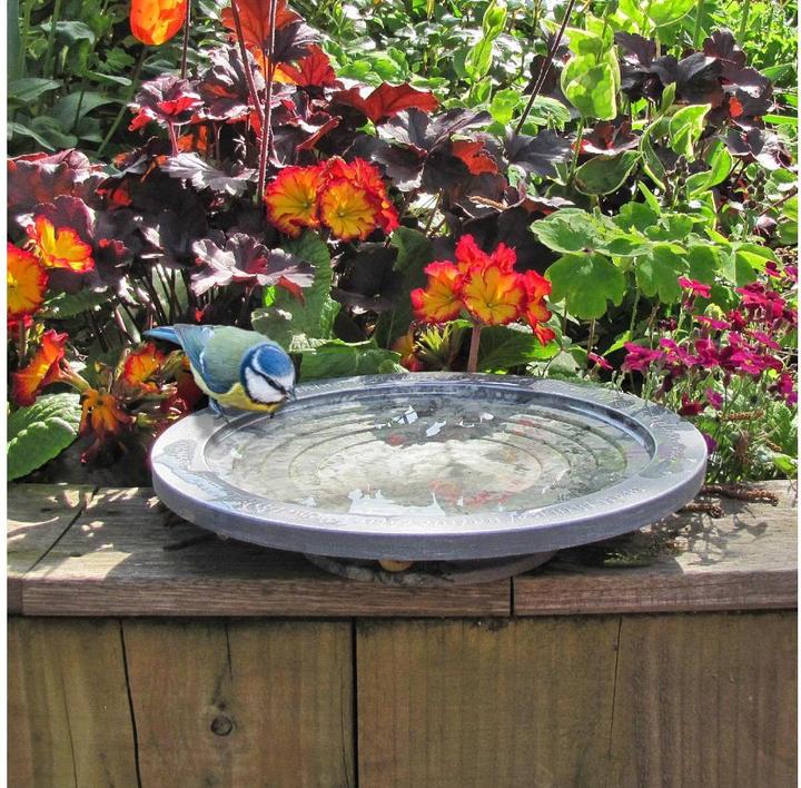 Actual product image Wildlife World Oasis bird bath 30 x 30 x 5.5 cm
