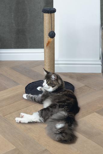 Actual product image Designed by Lotte Scratching post (70 cm, Charcoal)
