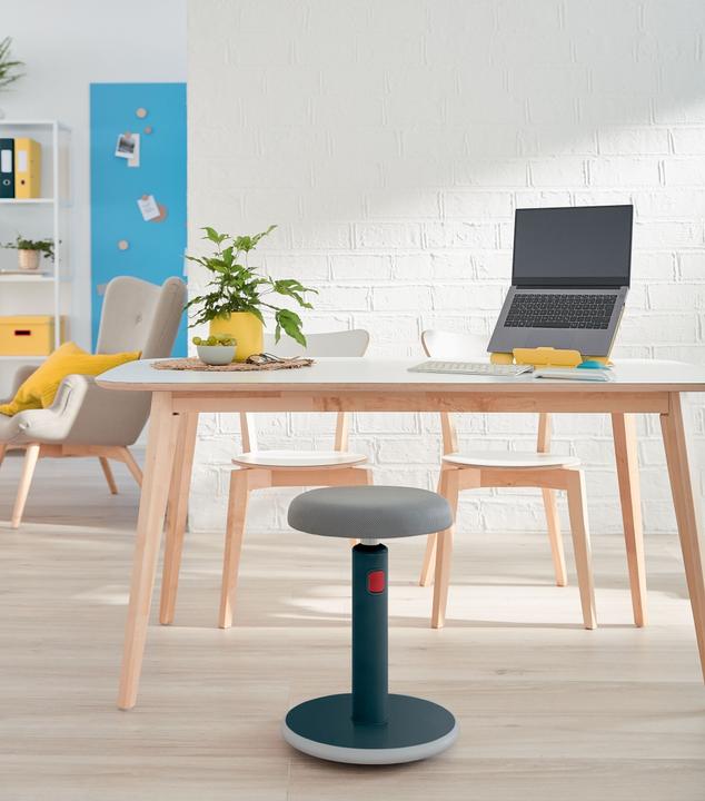 Actual product image Leitz Ergo Cosy Active
