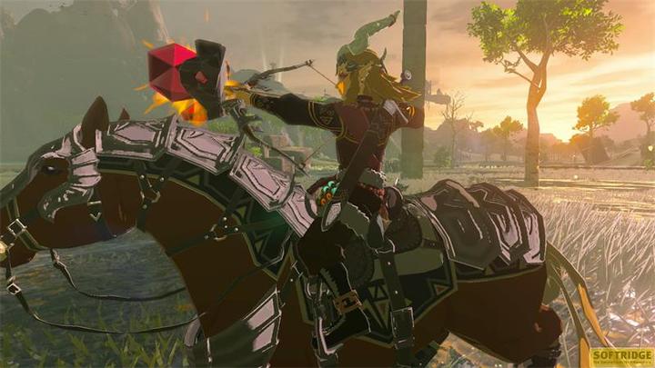 Produktbild Nintendo The Legend of Zelda: Tears of the Kingdom (Switch, Switch Lite, Switch OLED, DE, IT, FR, EN)