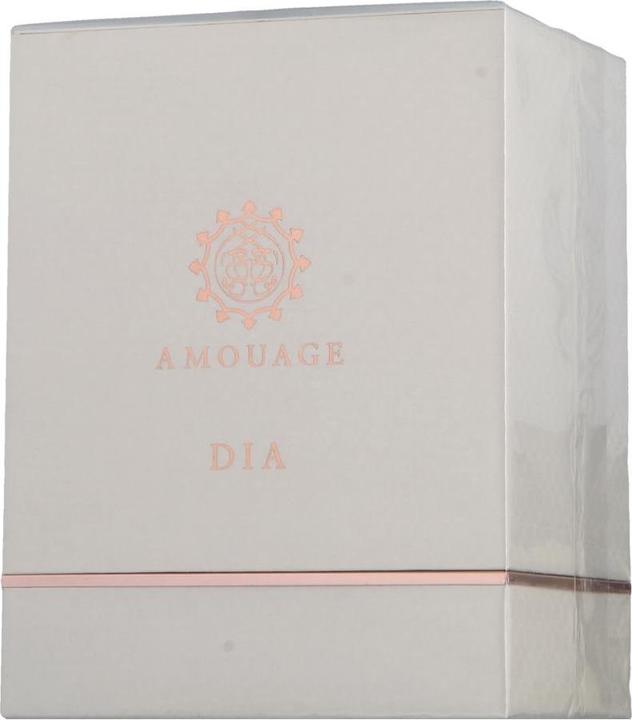 Immagine prodotto Amouage Slide (Eau de parfum, 100 ml)