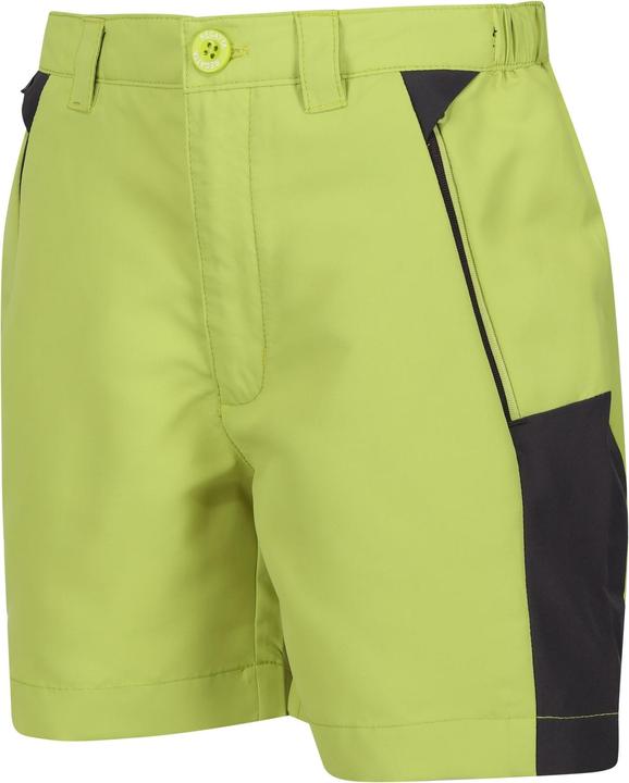 Produktbild Regatta Sorcer Mountain III Shorts (170, 176)
