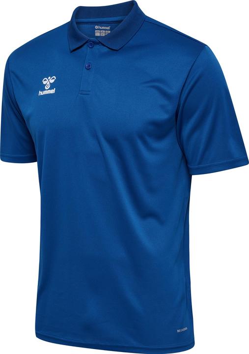 Trueblue