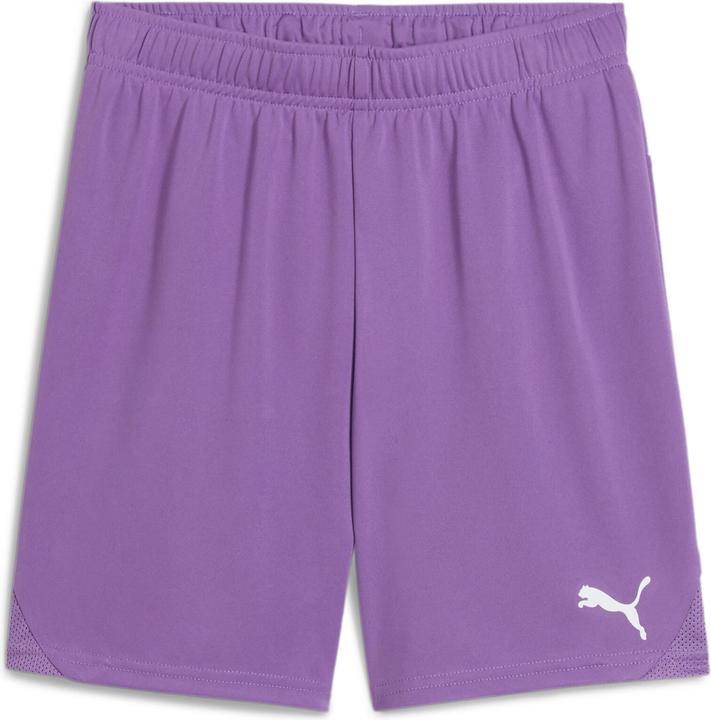 Puma teamGOAL Shorts Jr