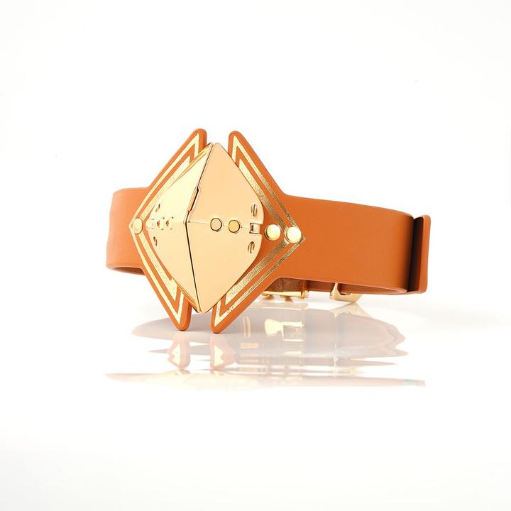 Actual product image Lockink Posture Collar - brown