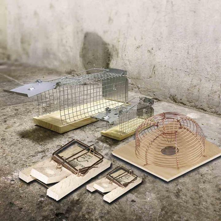 Produktbild Swissinno Lebendfalle Rat Classic 1 St.