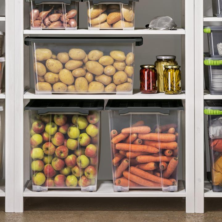 Produktbild Rotho Aufbewahrungsbox (44 l)