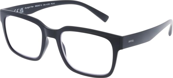 Image du produit Invu Lunettes de lecture 2.00dpt IB62507E (+2)