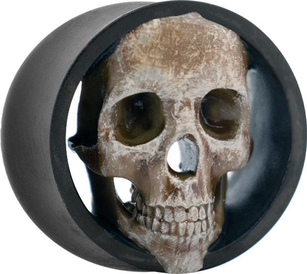 Actual product image Star Piercing Flared tunnel black skull (Pitch, without brass)