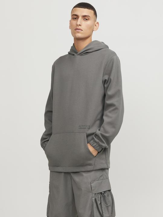 Actual product image Jack & Jones Jcoaltitude Sweat Hood Sn (S)