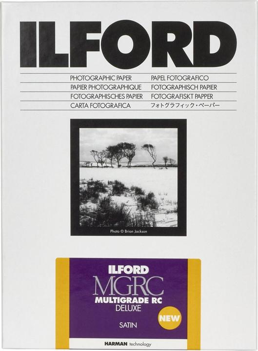 Ilford IL MGRCDL 25M 1015 100 Bl matt (190 g/m², 10 x 15 cm, 100 x)