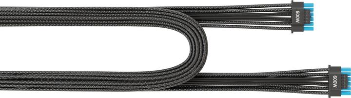 Actual product image Seasonic SS-16P-12V-2x6-600