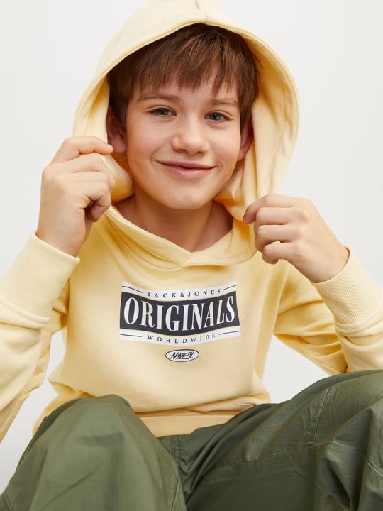 Image du produit Jack & Jones Jorcobin Sweat Hood Jnr (176)