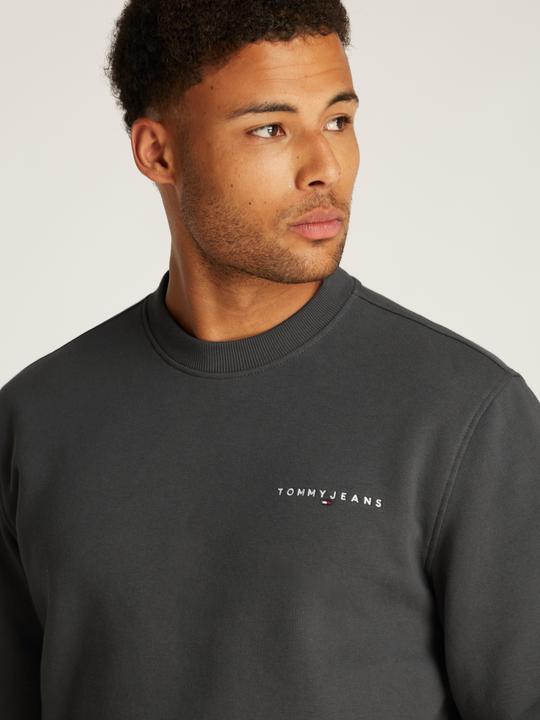 Actual product image Tommy Jeans Tjm Reg Linear Crew Ext (M)