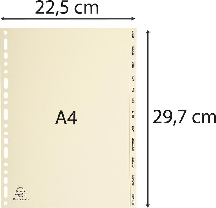 Actual product image Exacompta Cardboard register - ivory