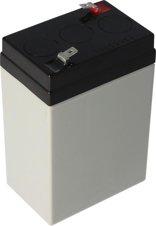 Actual product image Yuasa Akku NP4-6, Faston 4,8mm (6 V, 4 Ah)