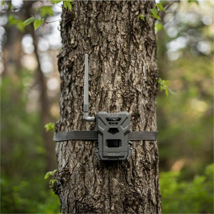 Produktbild Spypoint FLEX-M Wildkamera