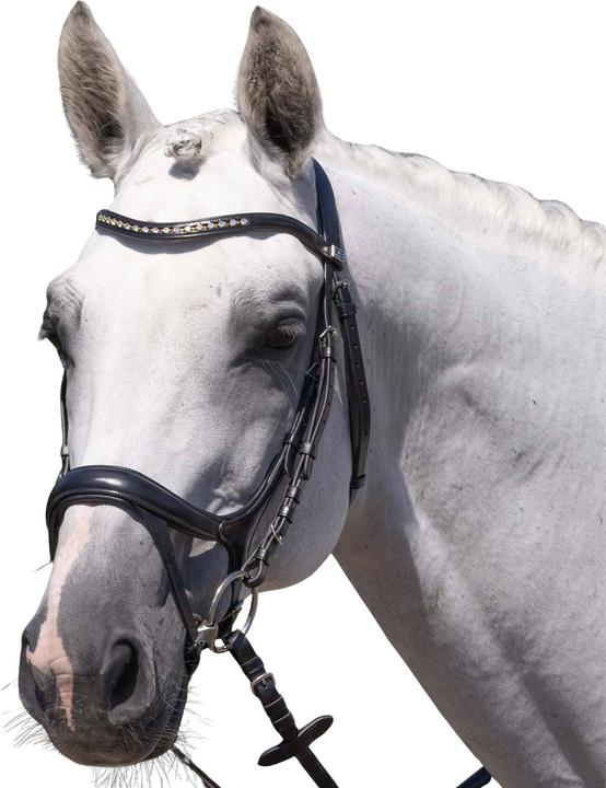 Produktbild Premier Equine Palazzo