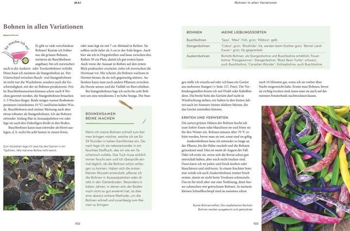 Produktbild 12 Monate Gemüse ernten (Deutsch, Vogt, Tini, 2022)