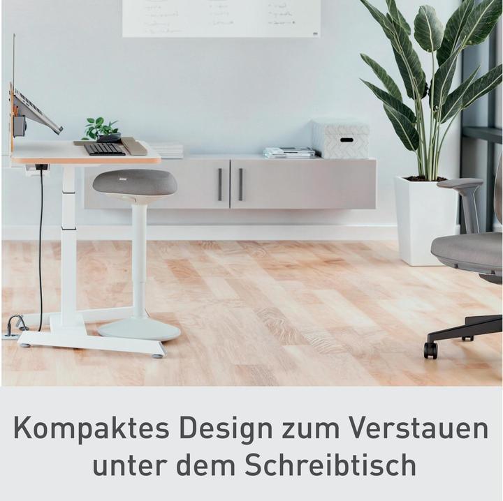 Actual product image Leitz Ergo Active