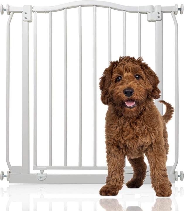 Bettacare 8372 Gebogenes Hundetor (71 cm)