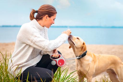 Image du produit Flexi Nouveau confort (XS, Chien, Promenade)