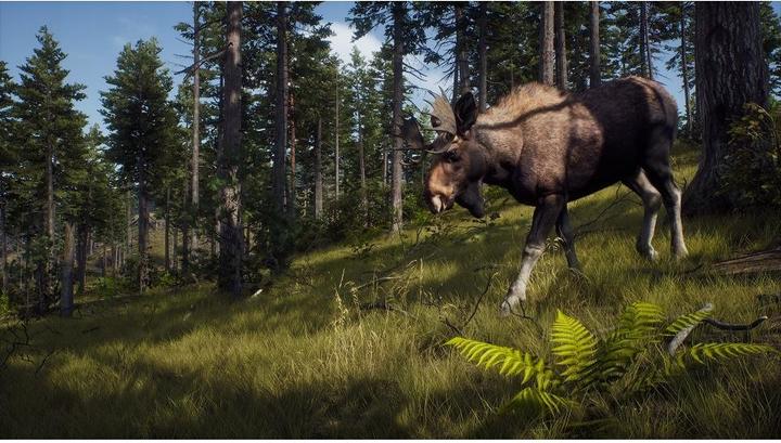 Actual product image THQ Way of the Hunter (Xbox Series X, DE)