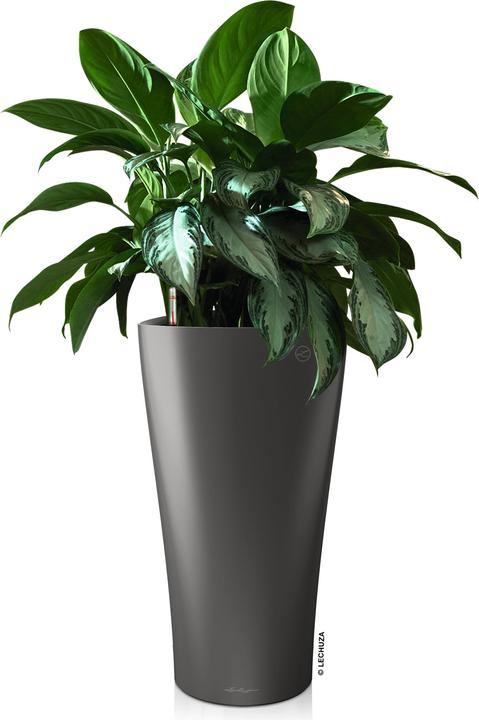 Produktbild Lechuza Delta Gefäss (39 cm)