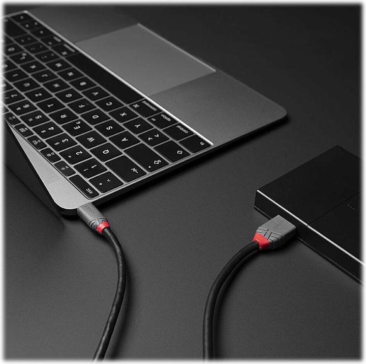 Actual product image Lindy USB 3.2 Type C to Micro-B Cable, Anthra Line (0.50 m)