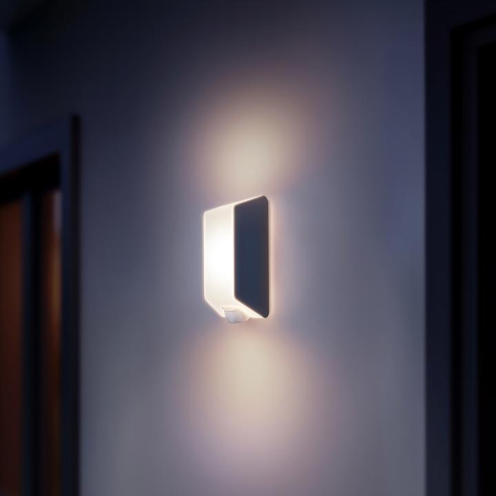 Actual product image Steinel Outdoor lamp L 30 S (10 m)