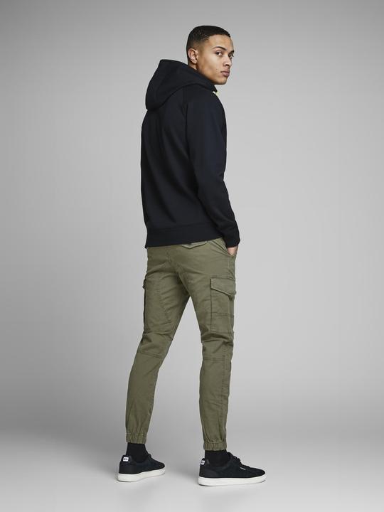 Actual product image Jack & Jones PAUL FLAKE AKM 542 cargo pants (W36/L34)