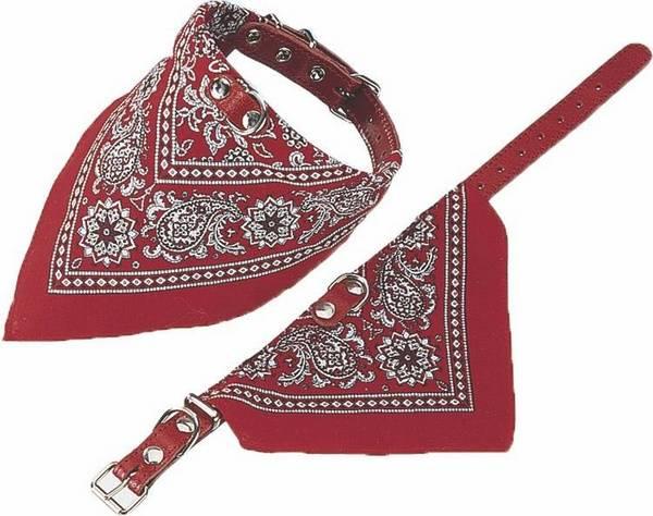 Actual product image Nobby Collar with cloth (Dog)