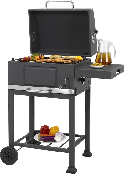 Actual product image Tepro Toronto Basic (52 cm)