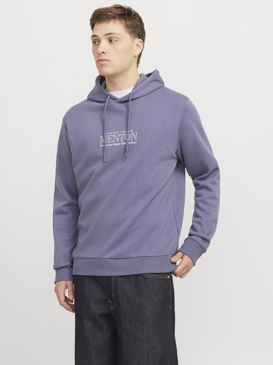 Image du produit Jack & Jones Rückenprint Kapuzenpullover Kapuzenpullover (XS)